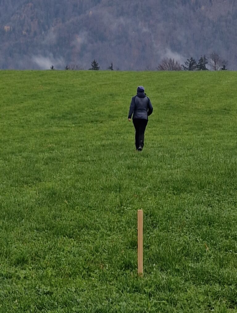 Hund und Hundeführer:in bei der Fährtenarbeit.