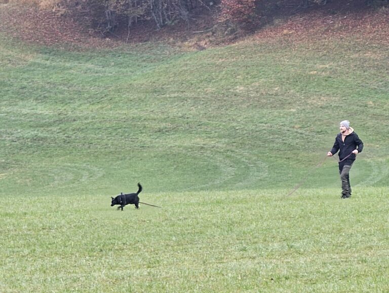 Hund und Hundeführer:in bei der Fährtenarbeit.