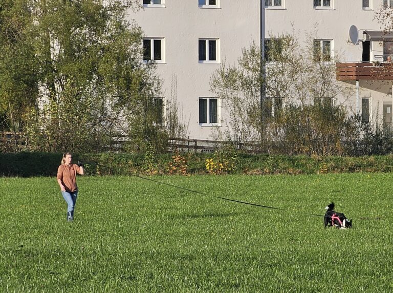 Hund und Hundeführer:in bei der Fährtenarbeit.