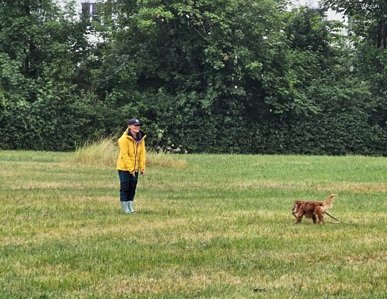 Hund und Hundeführer:in bei der Fährtenarbeit.