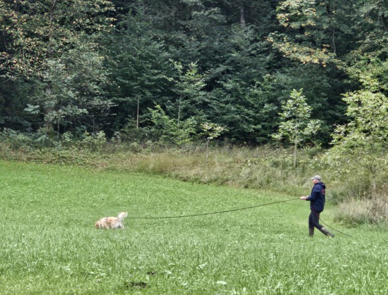 Hund und Hundeführer:in bei der Fährtenarbeit.