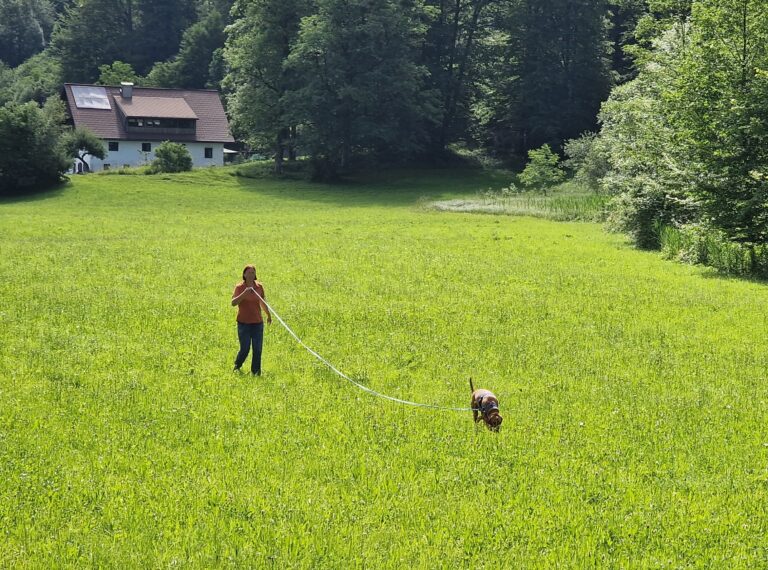 Hund und Hundeführer:in bei der Fährtenarbeit.