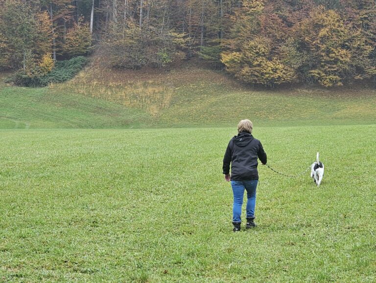 Hund und Hundeführer:in bei der Fährtenarbeit.