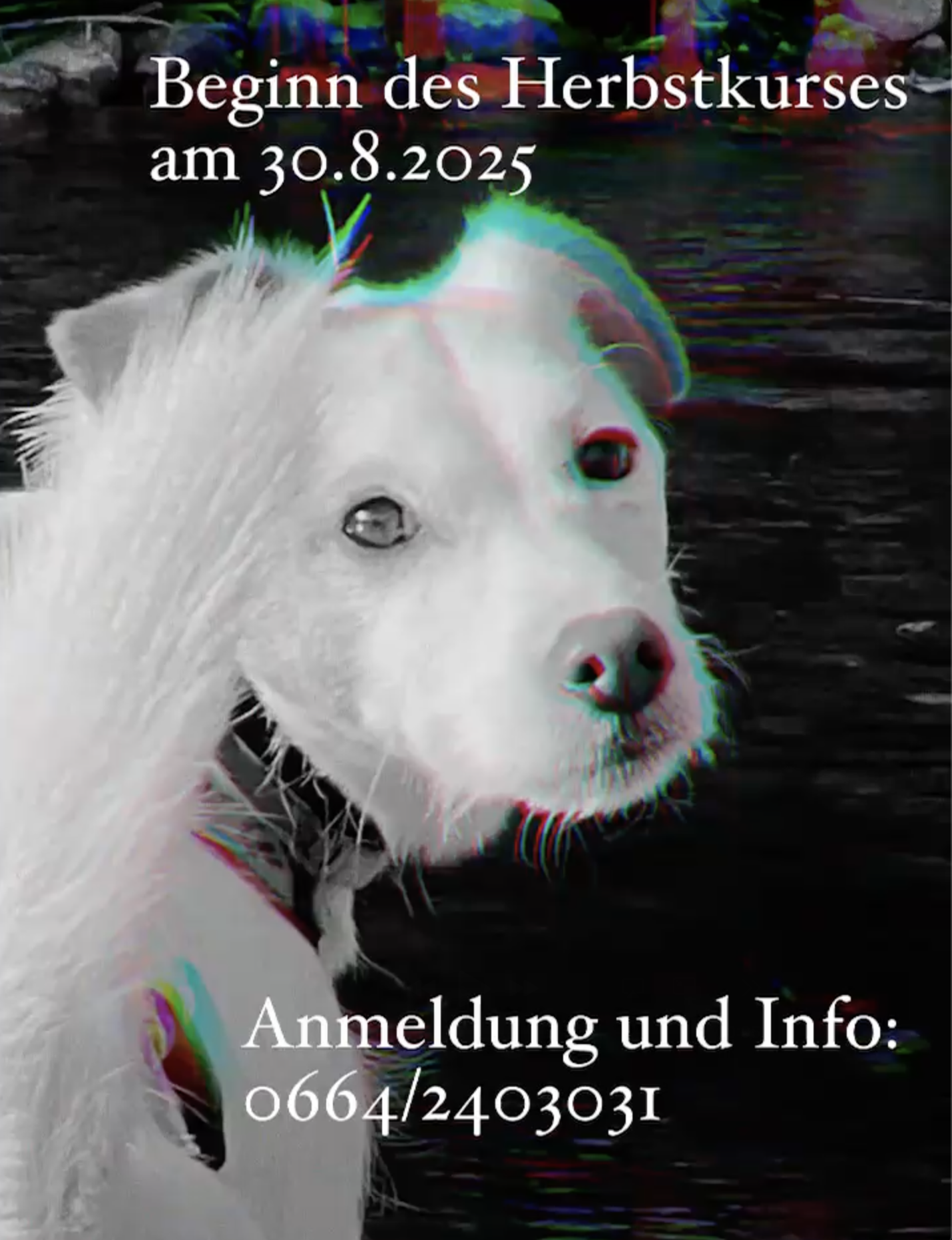 Kurse Herbst 2025